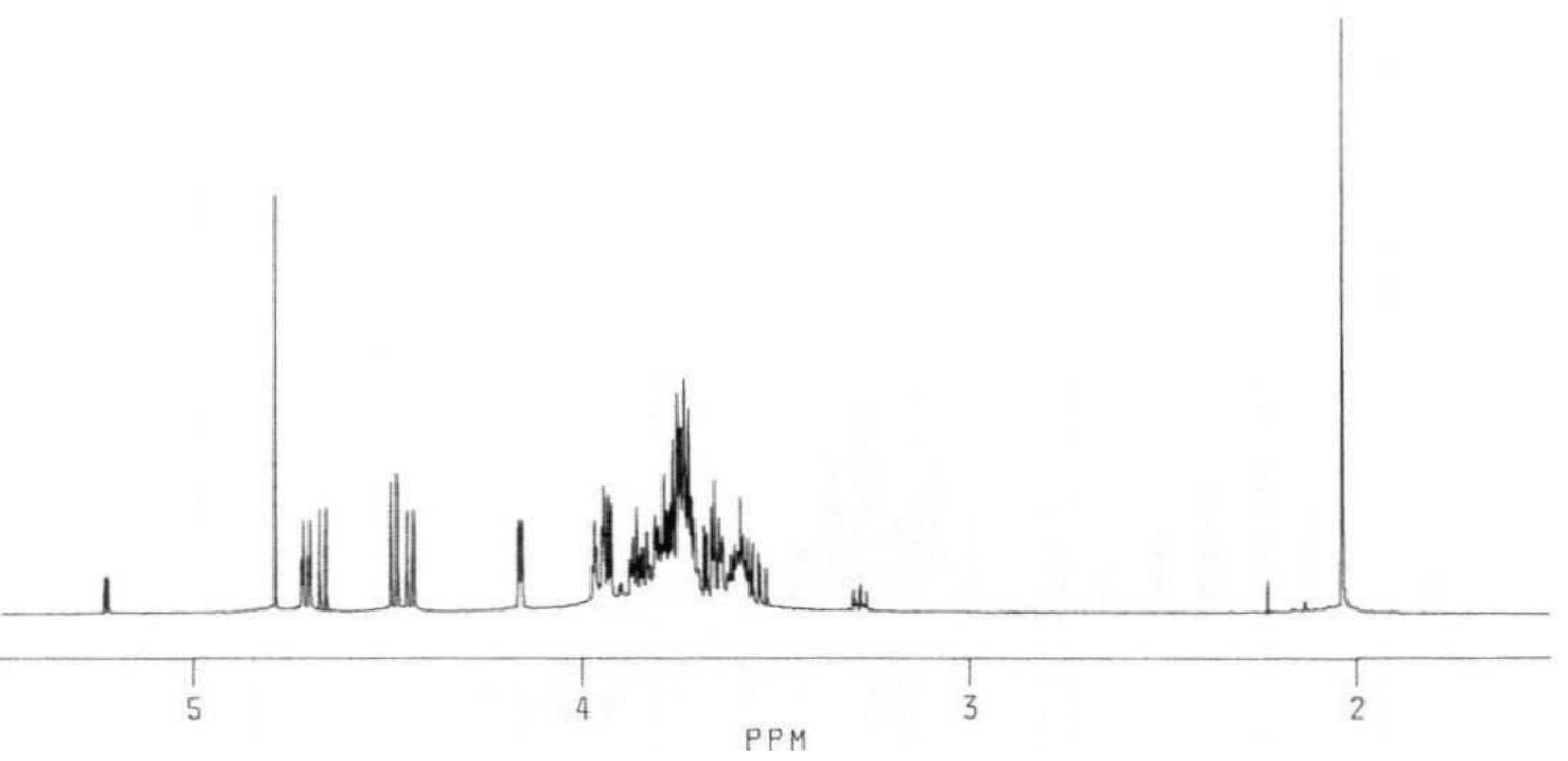 Lacto-N-neotetraose